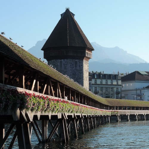 Chiều bên hồ Lucerne